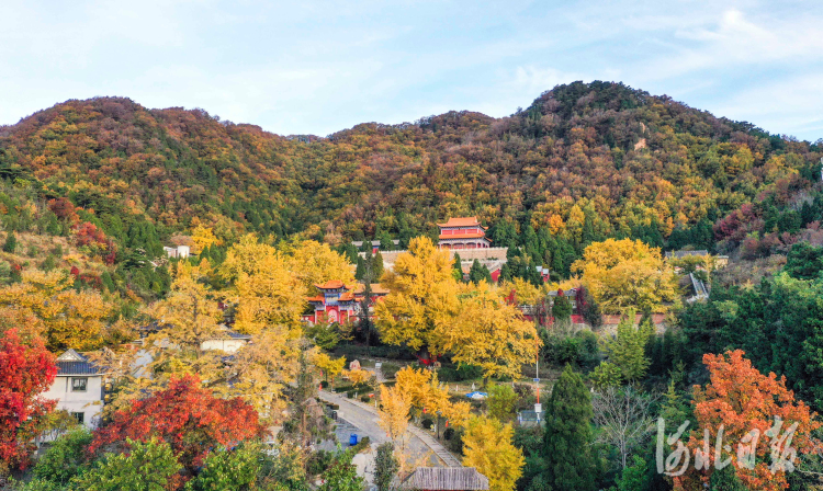 河北遵化：古寺秋景如画